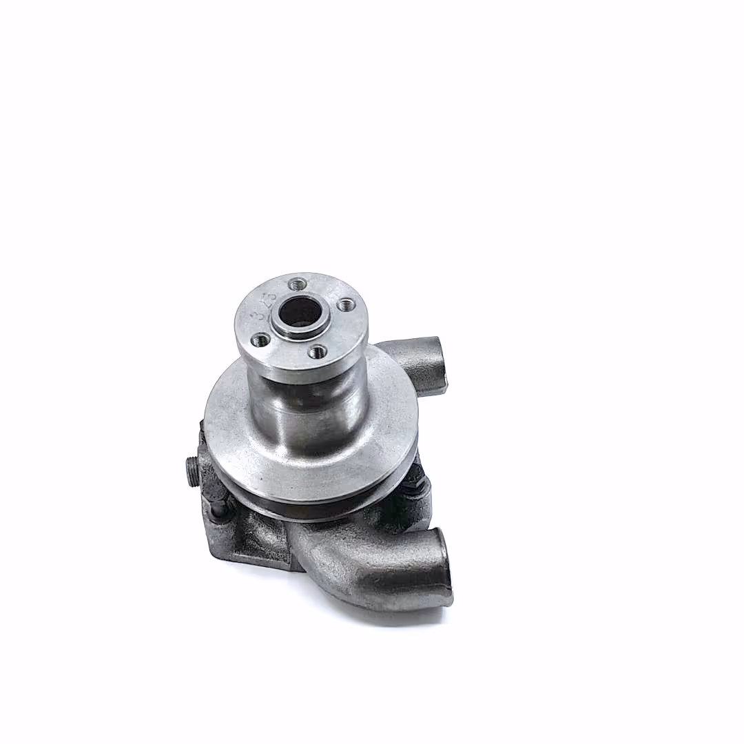 Pompe à eau avec poulie Ø62.5 mm Landini 41312784 adaptable Massey Ferguson