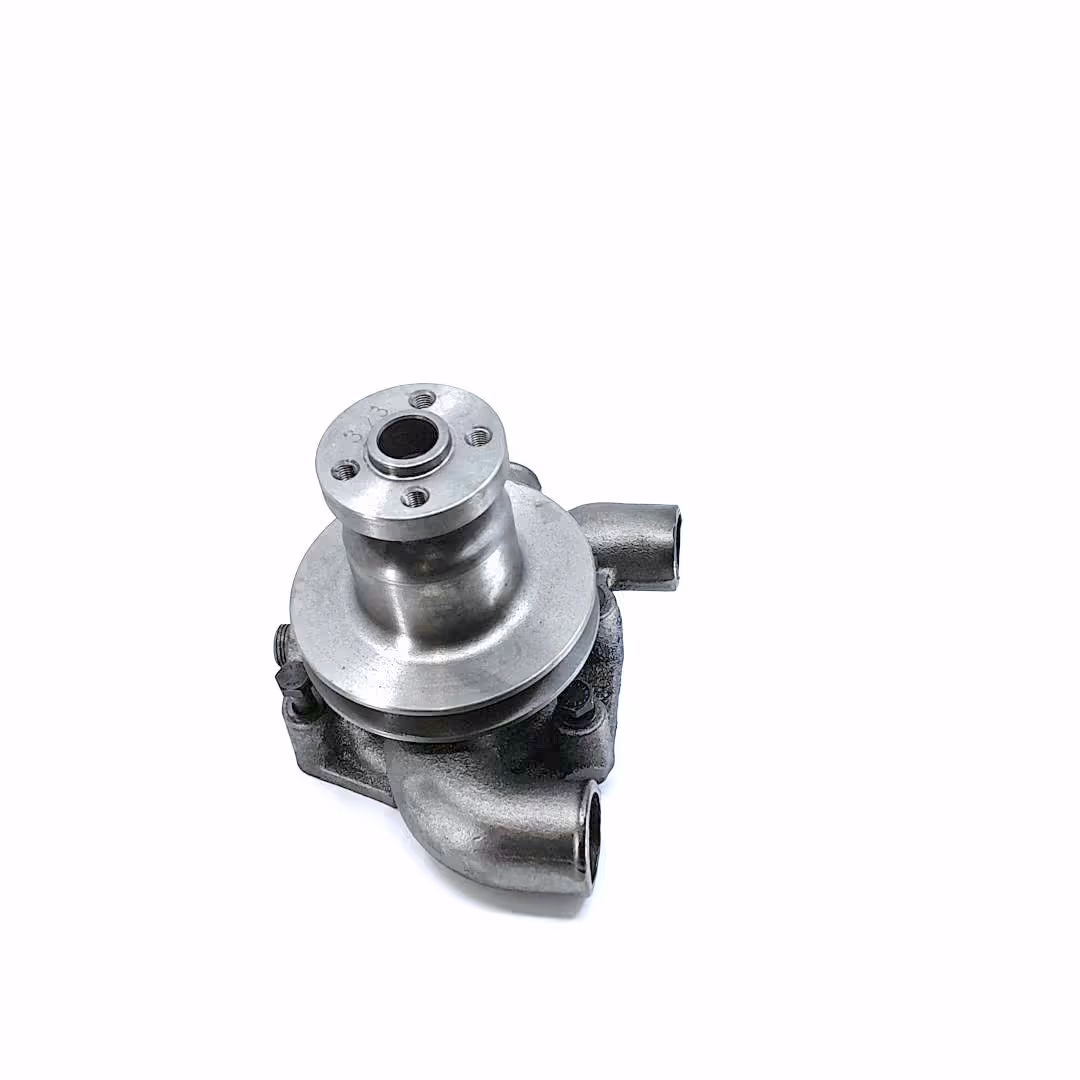 Pompe à eau avec poulie Ø62.5 mm Landini 41312784 adaptable Massey Ferguson
