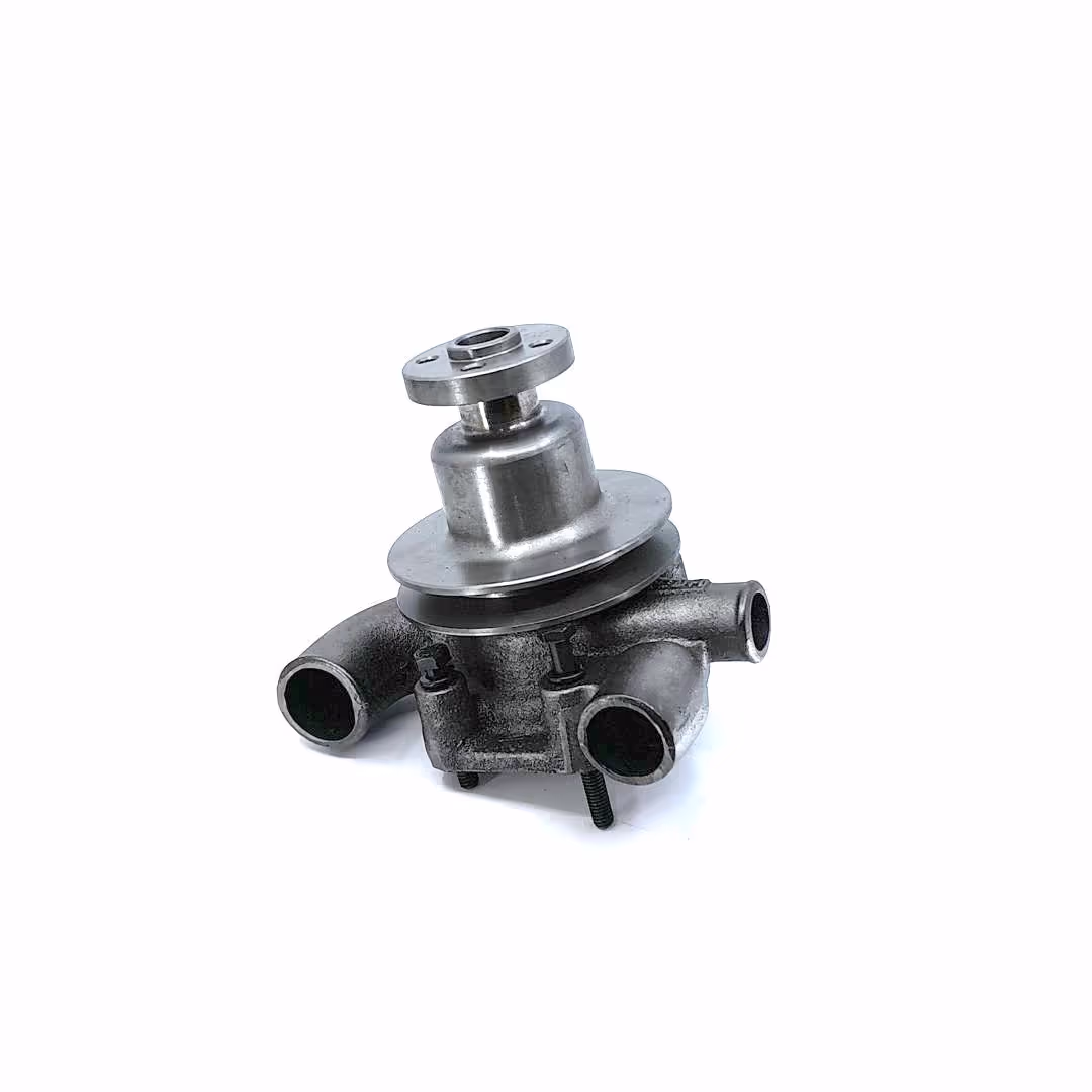 Pompe à eau avec poulie Ø62.5 mm Landini 41312784 adaptable Massey Ferguson