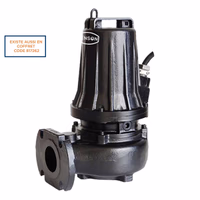 Pompe de relevage tri fonte roue monocanale 4kw dn65