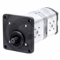 Pompe hydraulique double 47129338 - New Holland