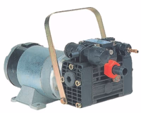 Pompe pulvérisateur avec moteur électrique 220V Kappa 15 Viton Adaptable