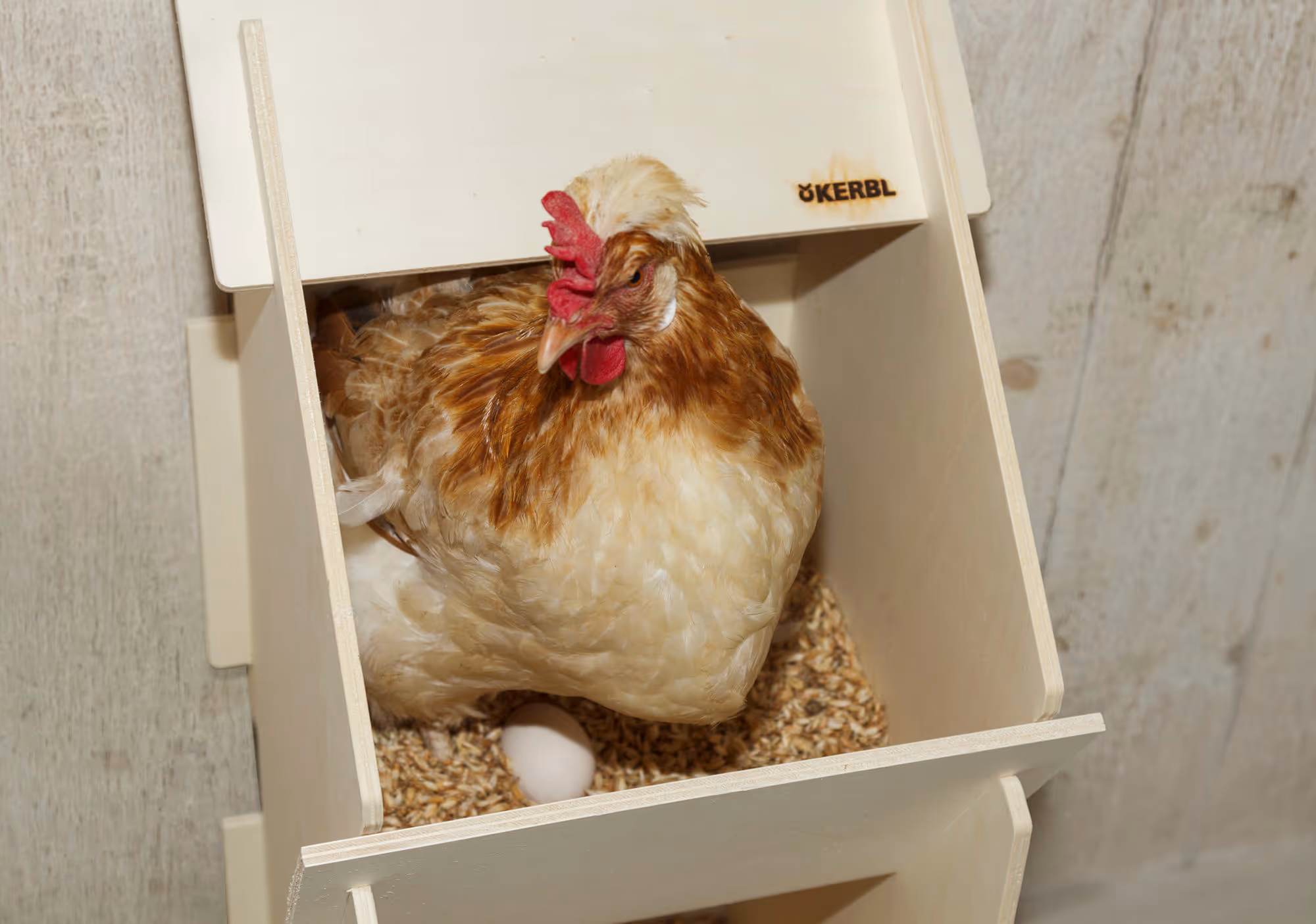Pondoir bois, 30x35x83cm, 10 poules