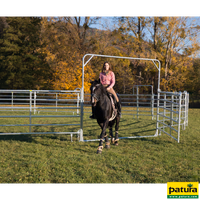 Porte pivotante 3,05 m, hauteur : 2,20 m, galvanisée