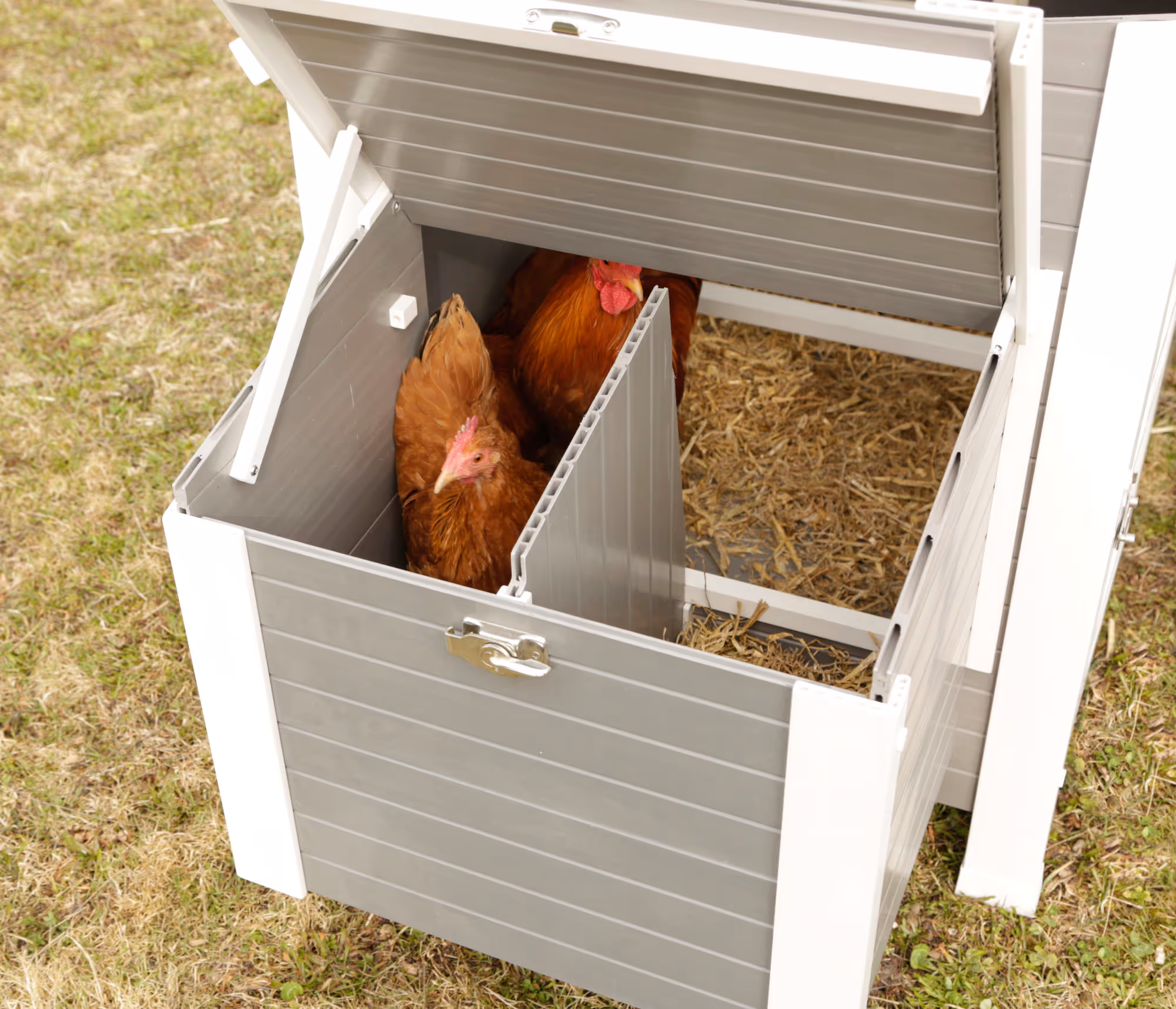 Poulailler ECO Barney PP, 137X73X83cm