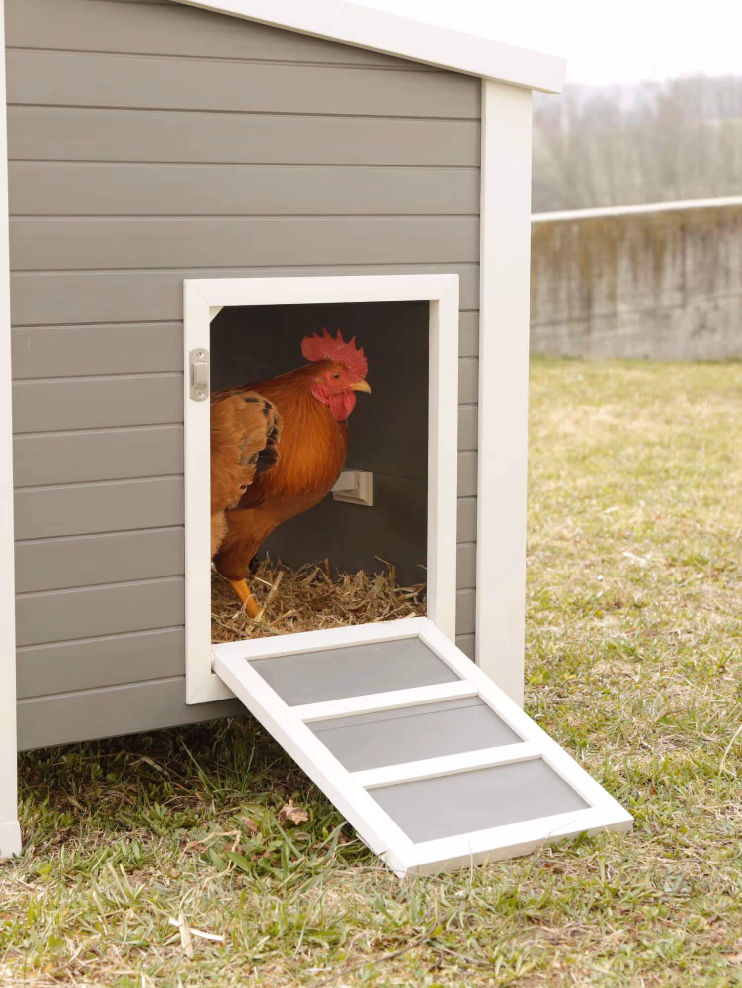 Poulailler ECO Barney PP, 137X73X83cm