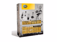 Présentoir d'ampoules Hella (boîtes), 12V, 210 pièces - ref 9XX223498807
