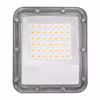 Projecteur extérieur LED 30W 2700 LUMENS 230V