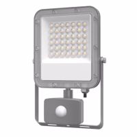Projecteur extérieur LED 30W 2700 LUMENS 230V avec détecteur