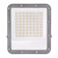 Projecteur extérieur LED 50W 4500 LUMENS 230V