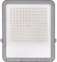 PROJECTEUR LED EXTRA PLAT 100W