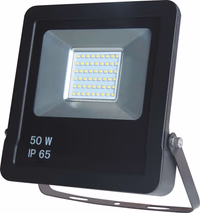 PROJECTEUR LED EXTRA PLAT 50W