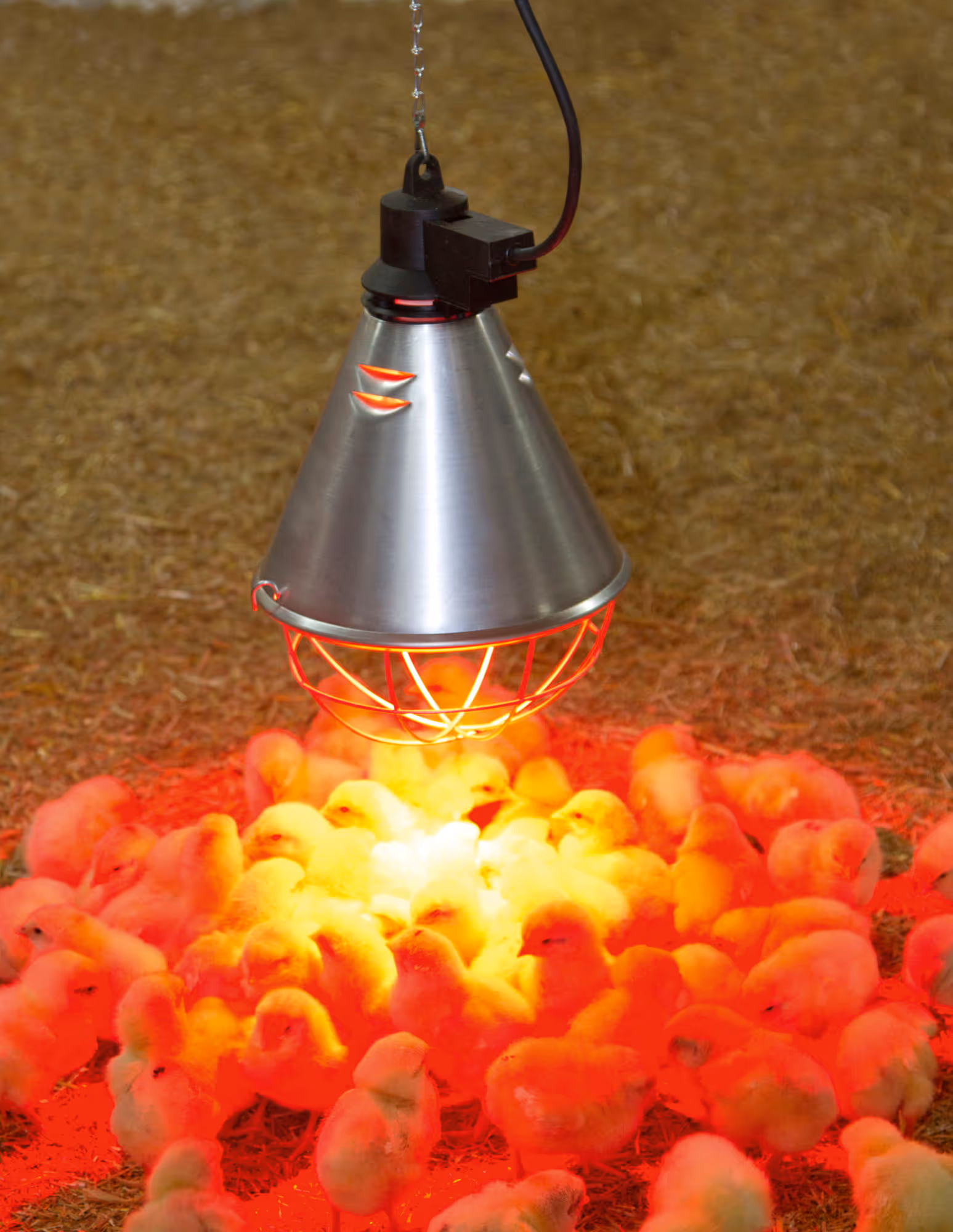 Protecteur de lampe infrarouge Ø21cm, câble 5m