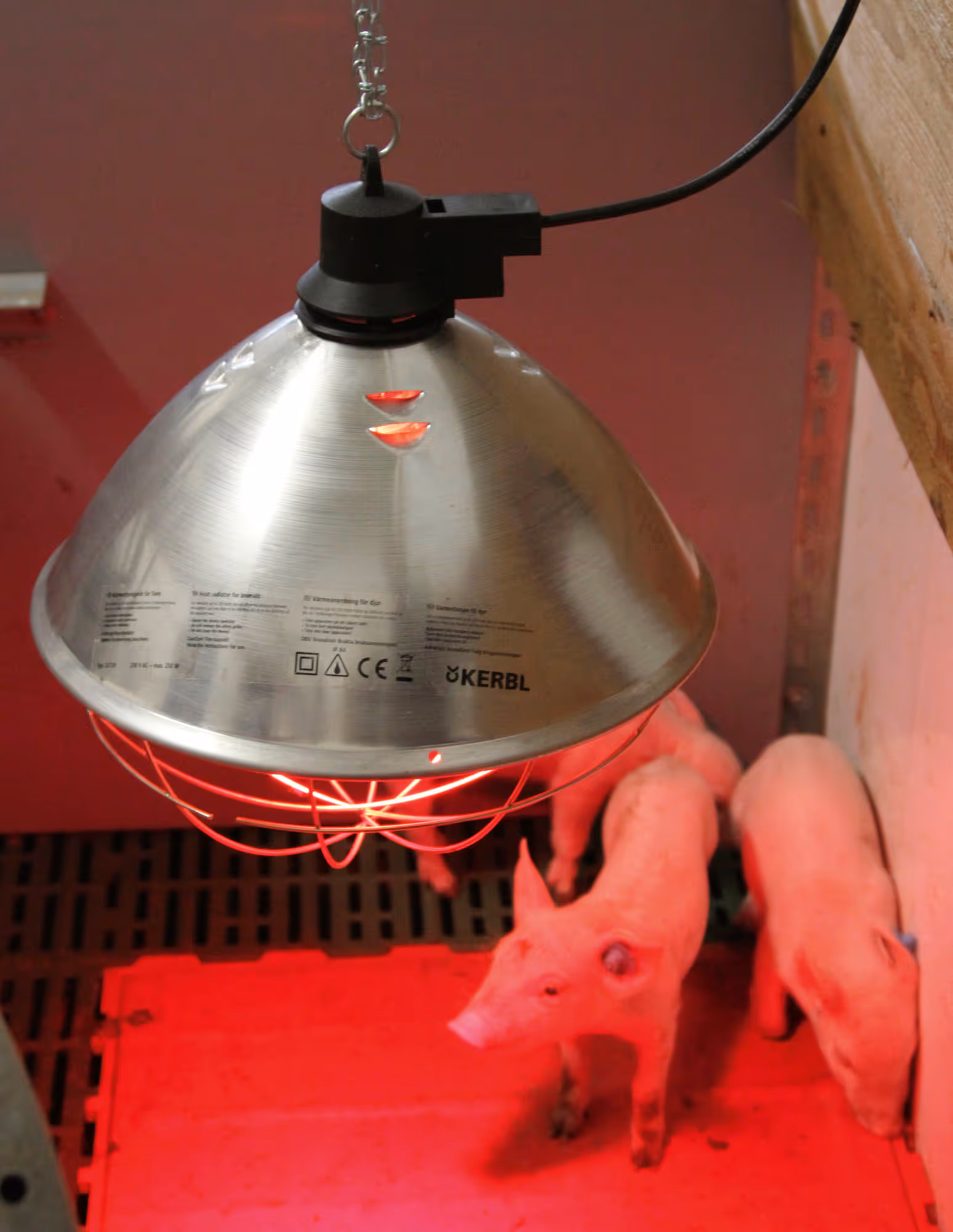 Protecteur de lampe infrarouge Ø35cm, câble 5m