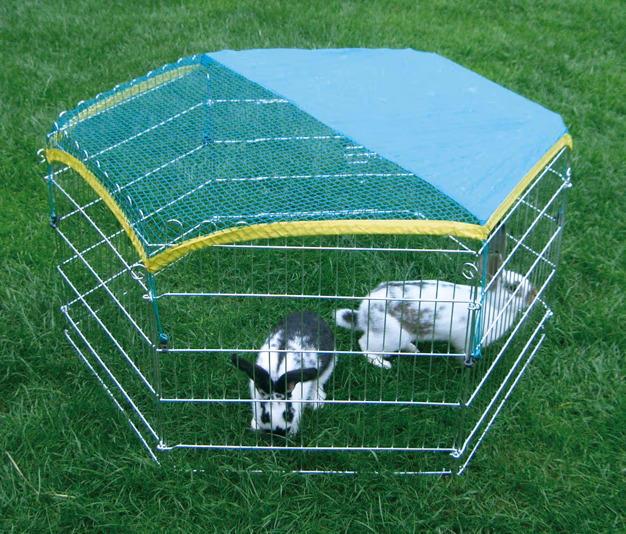 Protection solaire de rechange pour 82704