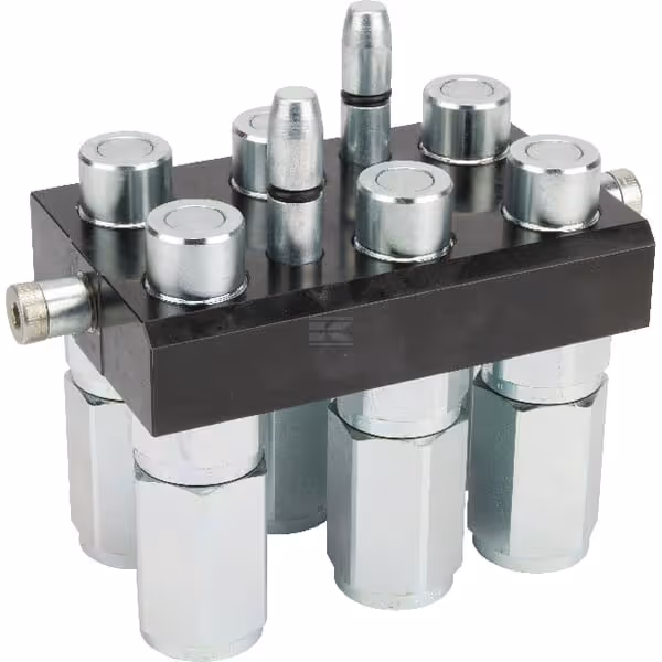 Raccord multiple DN12-6 x 1/2" BSPP prise amovible