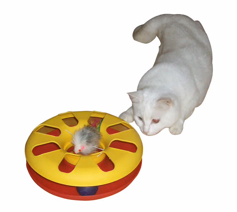 Racing Wheel plastique rouge/jaune, Ø24cm