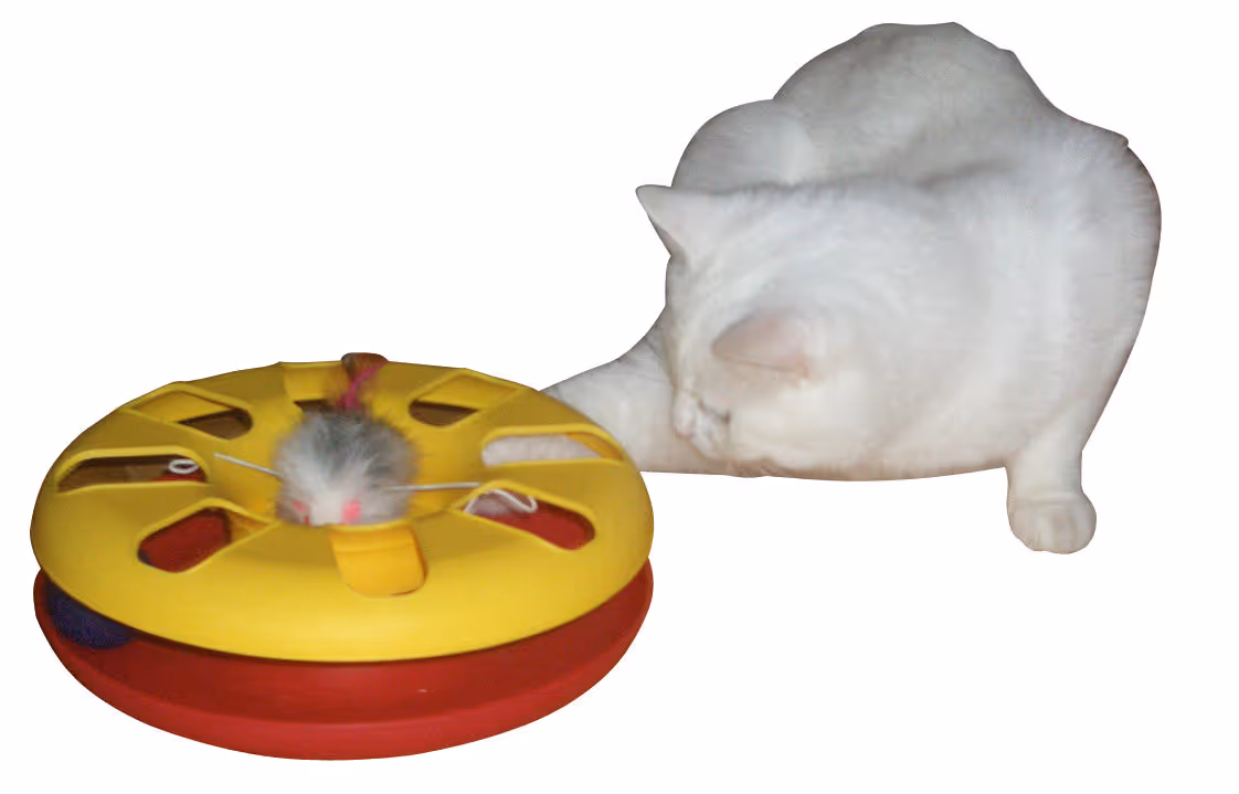 Racing Wheel plastique rouge/jaune, Ø24cm