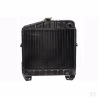 Radiateur (Type Windhoff)