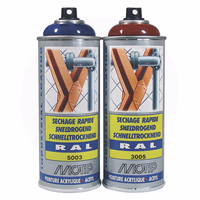 RAL 5003 spray bleu sapphire