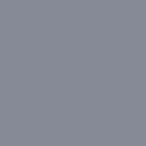 RAL 7000 petit gris 1 L