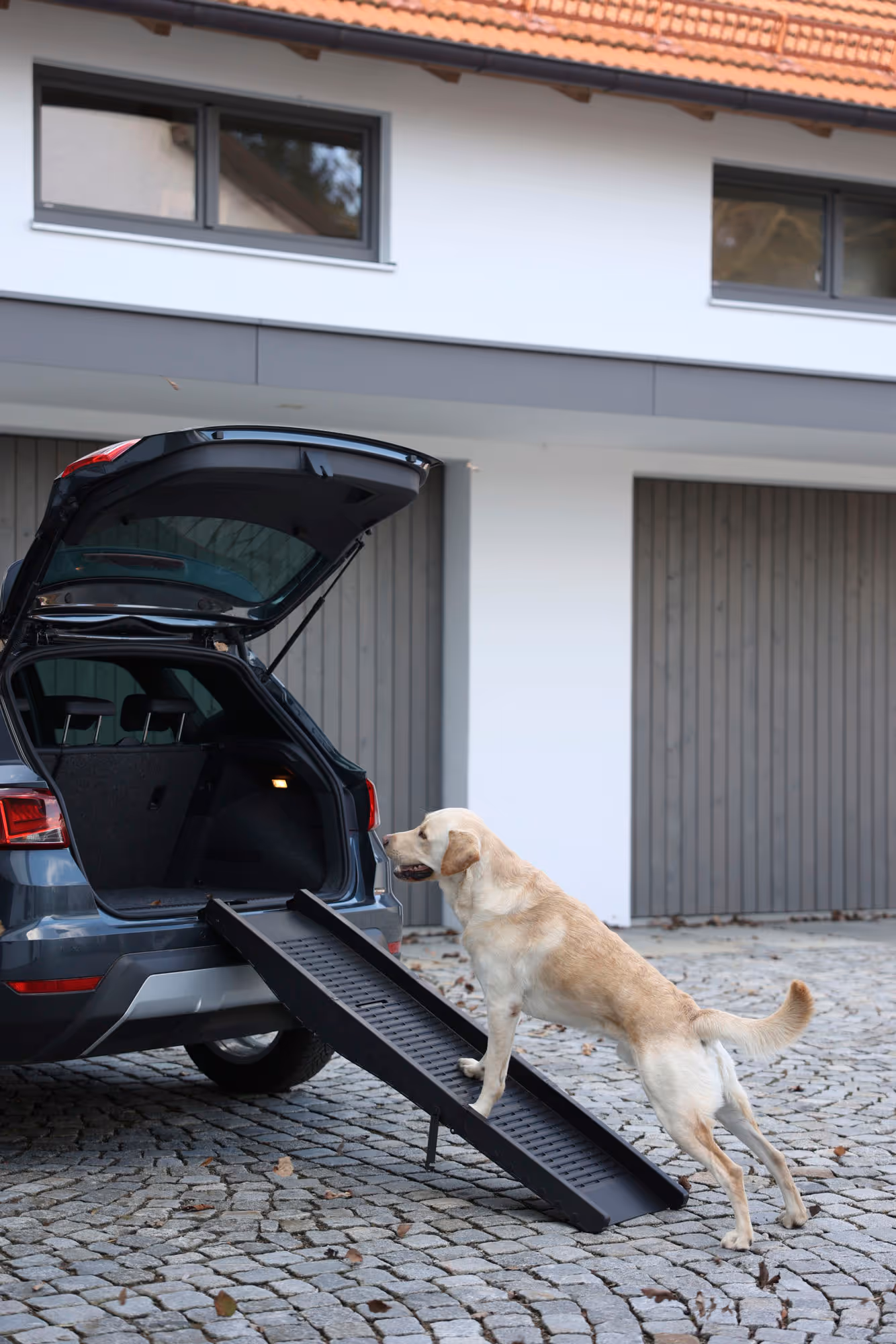 Rampe pour chien noir, 152x41cm, max.75kg
