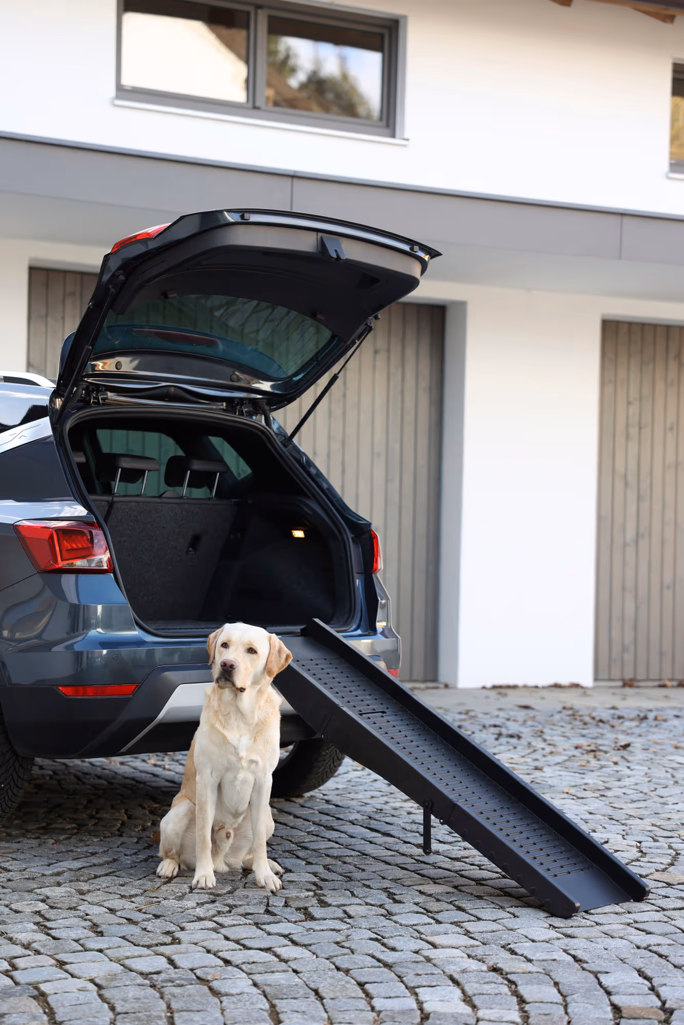 Rampe pour chien noir, 152x41cm, max.75kg