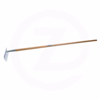 Rateau à gazon 10 dents avec manche