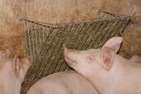 Râtelier indiv. Ø 20mm, zingué