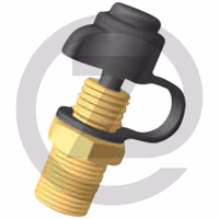 Raufoss Valve de contrôle