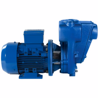 Electropompe pulverisateur Renson a engrais monobloc 1,5KW 3,3A Origine