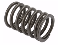 Ressort de soupape (x8) Perkins 0780006