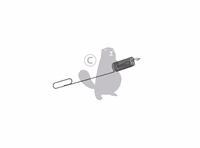 RESSORT REGULATEUR