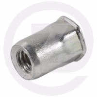RIVET  - 826/10879 - JCB