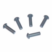 Lot de 30 Rivets à tête ronde - 35 x 8 mm - Universel