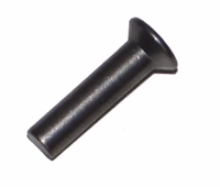 Rivet Ribouleau TF31x5mm 10176002K Origine