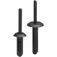 Rivets en plastique 6 x 24mm