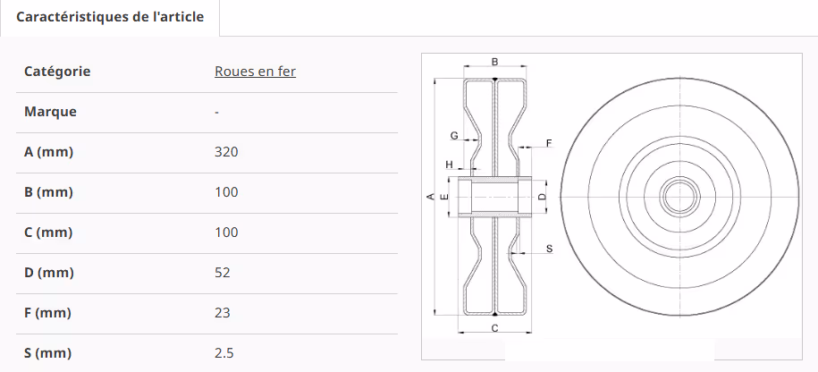 Roue lisse fer 320x100