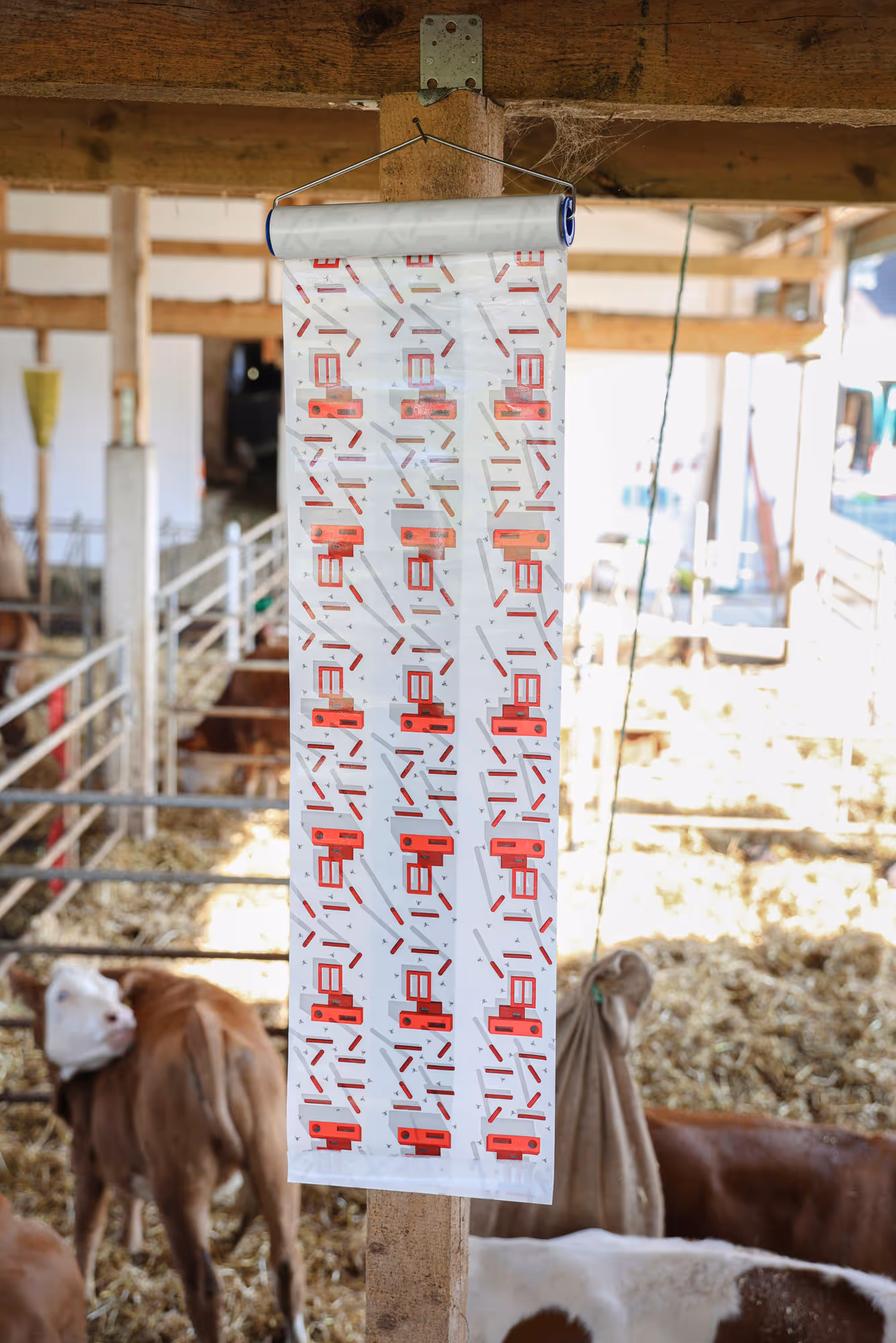 Rouleau attrape-mouches CIT 9m x 30cm