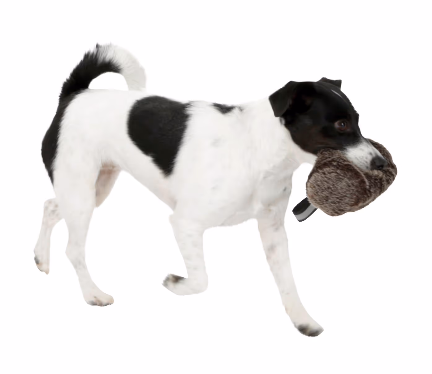 Rouleau d'apprentissage peluche, 16cm, Ø7cm