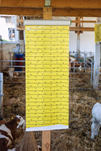 Rouleau JumboXL 10mX40cm