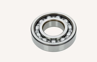 Roulement A Billes 84356134 - New Holland