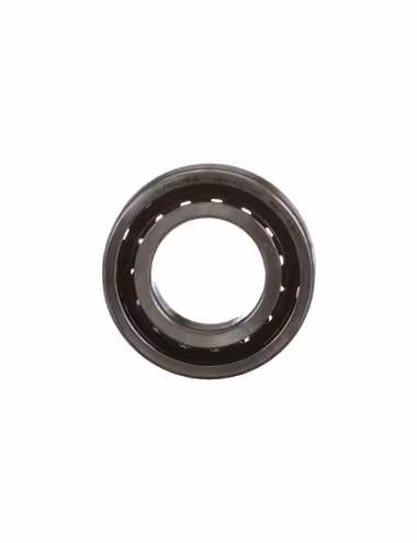 Roulement A Rouleau 5144640 - New Holland