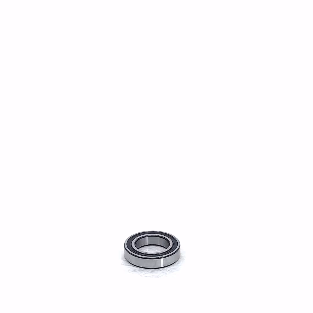 Roulement à billes 6009 2RS | SKF