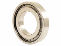 Roulements à rouleaux cylindriques Sparex