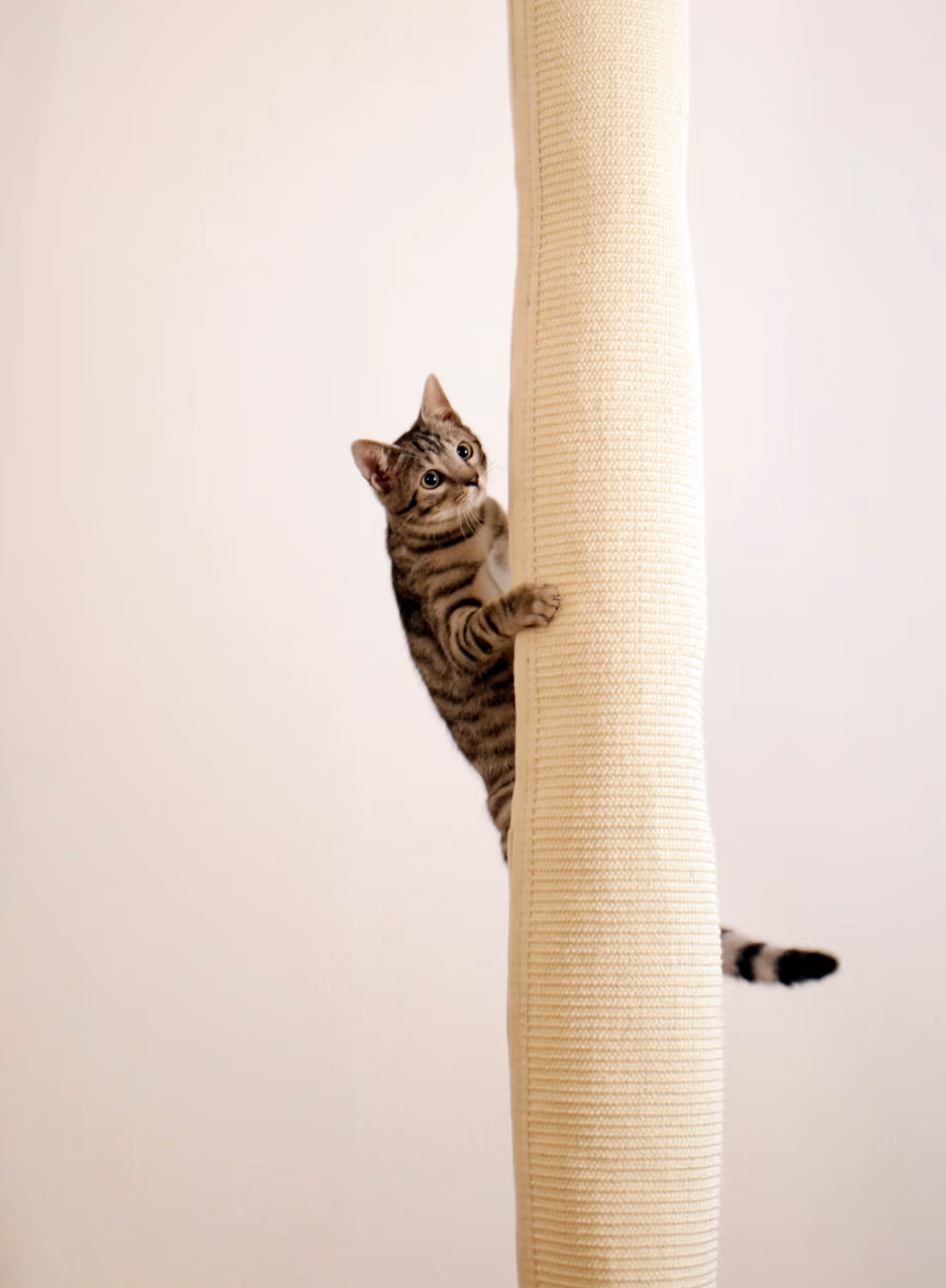 Sac d'escalade Climber beige, 240cm, Ø16cm