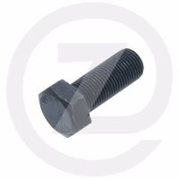 SCREW  - 850962 - MERLO