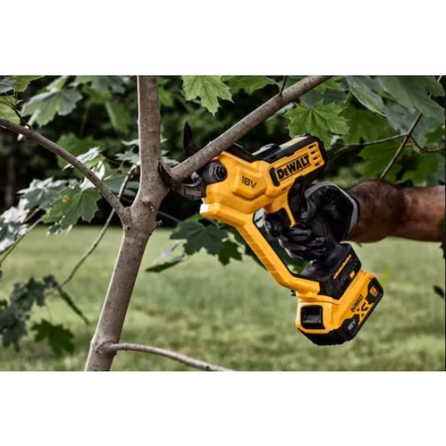 Sécateur électrique Dewalt 18w
