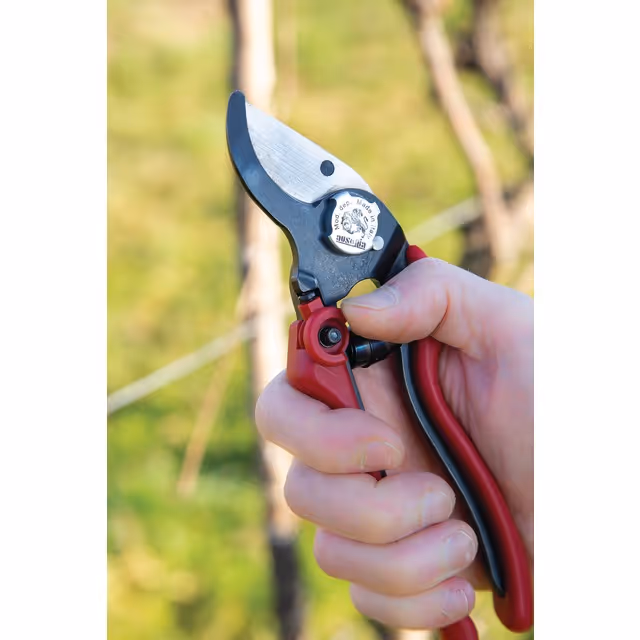 Secateur pro evo 2