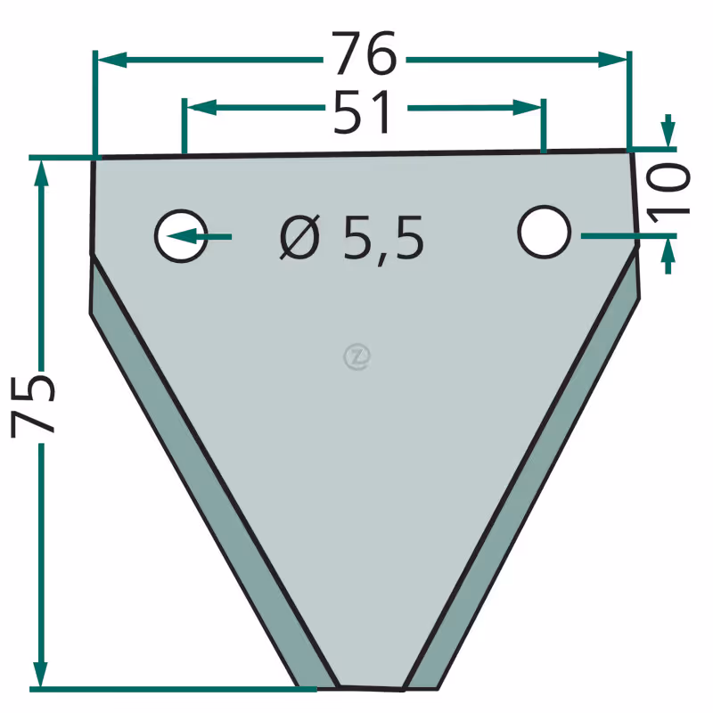 Section 